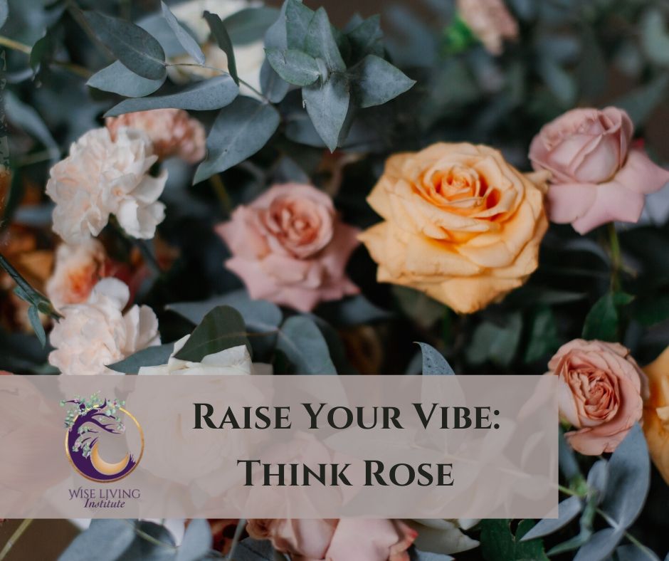 How To Raise Your Vibration