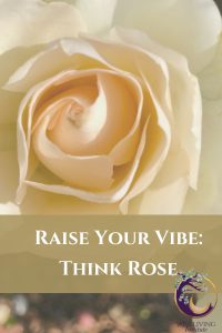 Raise Your Vibration Think Rose