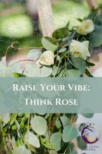 Raise Your Vibration Think Rose