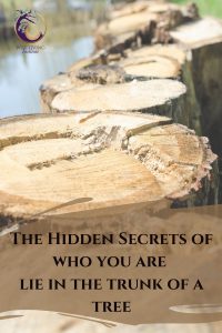 Lessons_From_A_Tree_The_Hidden_secrets_of_who_we_are