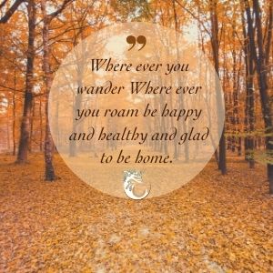 Thanksgiving_message