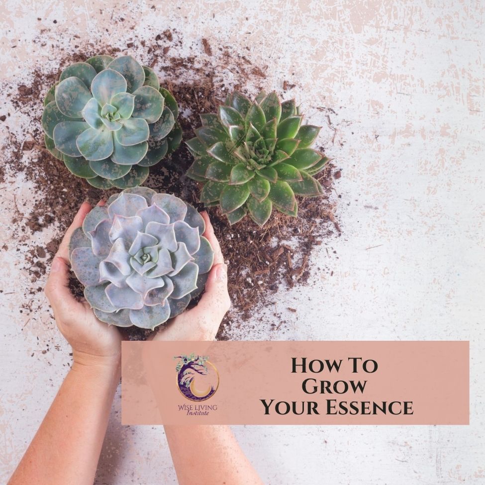 How_to_Grow-your_essence